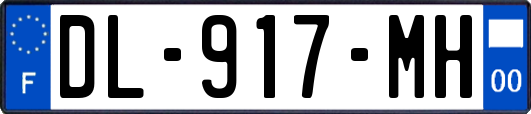 DL-917-MH
