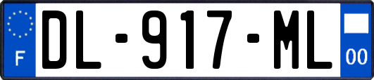 DL-917-ML