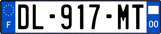 DL-917-MT