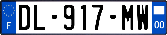 DL-917-MW
