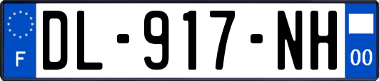 DL-917-NH