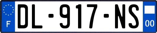 DL-917-NS