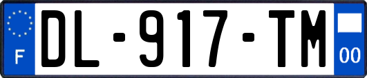 DL-917-TM