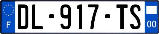 DL-917-TS