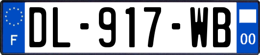DL-917-WB