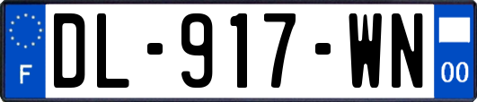 DL-917-WN