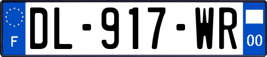 DL-917-WR