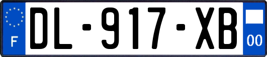 DL-917-XB