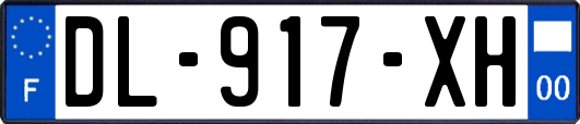 DL-917-XH