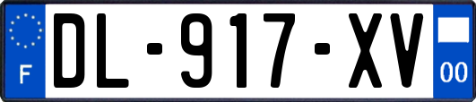 DL-917-XV