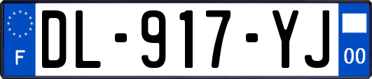 DL-917-YJ