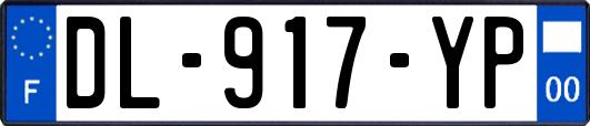 DL-917-YP