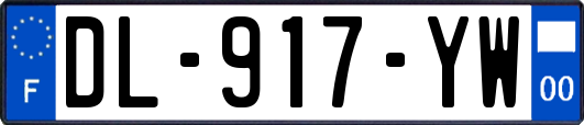 DL-917-YW