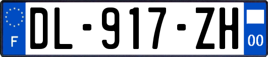 DL-917-ZH