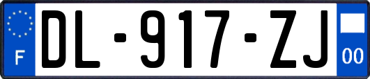 DL-917-ZJ