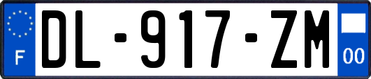 DL-917-ZM