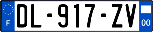 DL-917-ZV