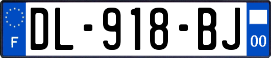 DL-918-BJ