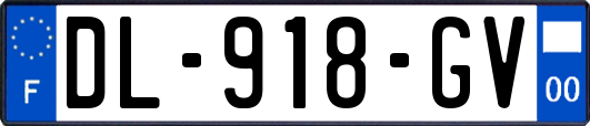 DL-918-GV