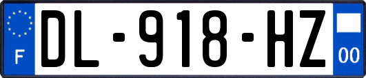 DL-918-HZ