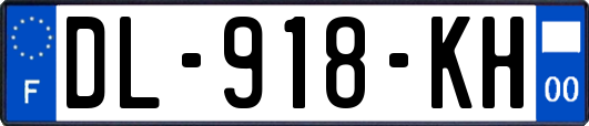 DL-918-KH