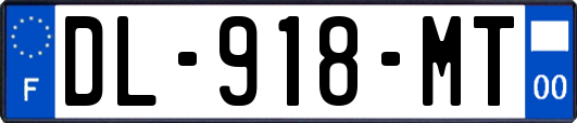 DL-918-MT