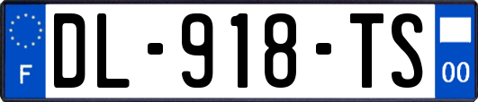 DL-918-TS