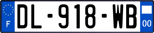 DL-918-WB