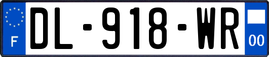 DL-918-WR