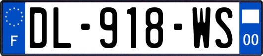 DL-918-WS