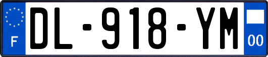 DL-918-YM