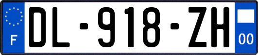 DL-918-ZH