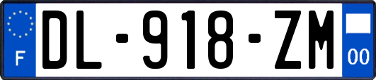 DL-918-ZM