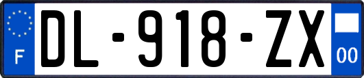 DL-918-ZX