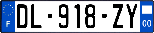 DL-918-ZY