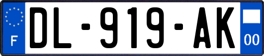 DL-919-AK