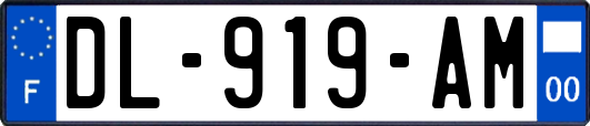 DL-919-AM