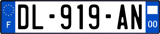 DL-919-AN