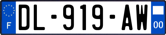 DL-919-AW