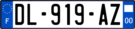 DL-919-AZ