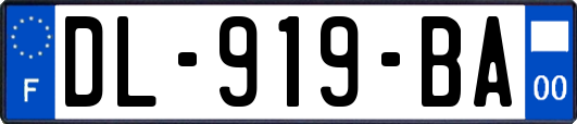 DL-919-BA