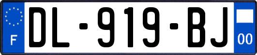 DL-919-BJ