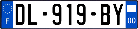 DL-919-BY