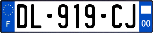 DL-919-CJ