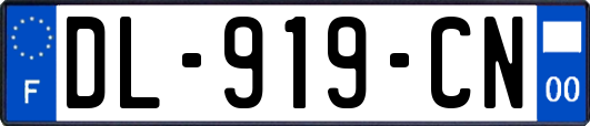 DL-919-CN