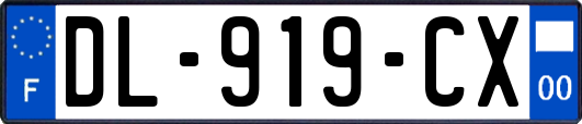 DL-919-CX