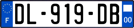 DL-919-DB