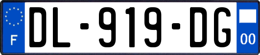 DL-919-DG