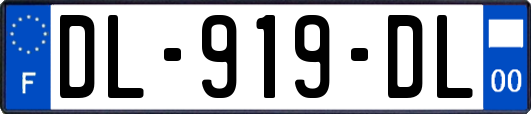 DL-919-DL