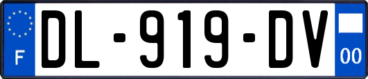 DL-919-DV